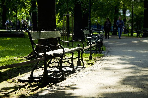 緑豊かな公園のベンチ - 写真・画像
