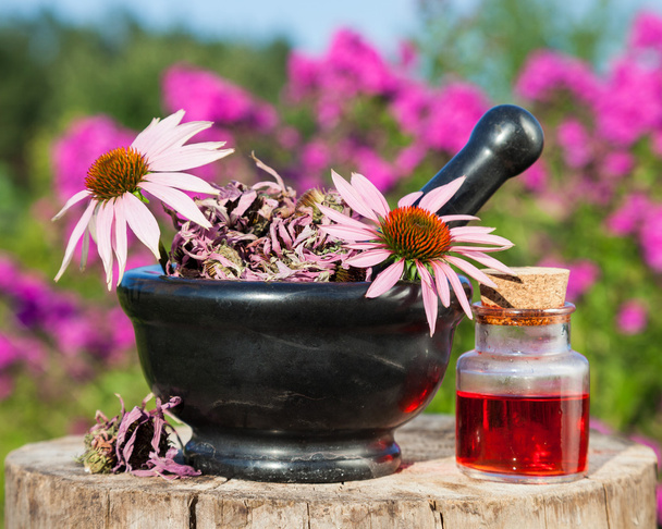 mortar with coneflowers and vial with essentia oil in garden - Foto, afbeelding