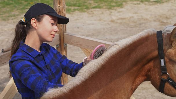 Kafasında şapka olan koyu saçlı bir kız kahverengi bir atı fırçalar. - Fotoğraf, Görsel