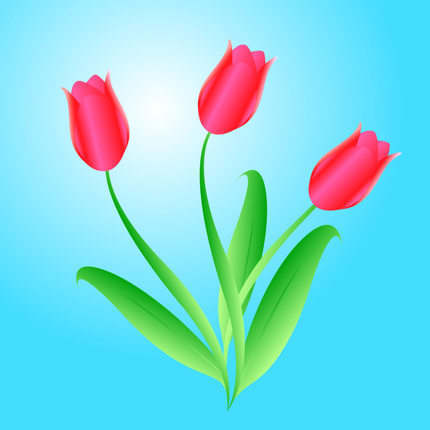  bouquet from three beautiful tulips - Фото, изображение