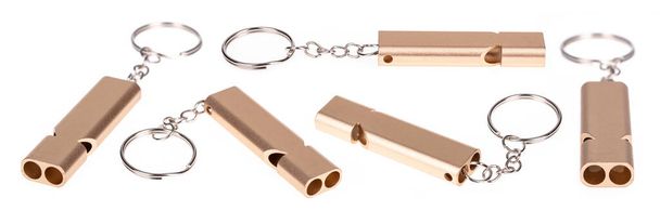 Collectie van Metal Whistle sleutelhanger geïsoleerd op witte achtergrond.  - Foto, afbeelding