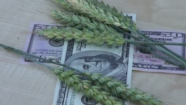 Agriculture business concept. rotate wheat ears and dollars - Footage, Video
