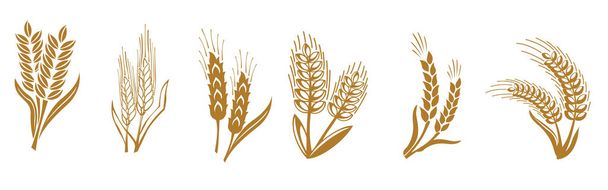 小麦、大麦、ライ麦のアイコンの耳。パン、パン屋のシンボル - ベクター画像