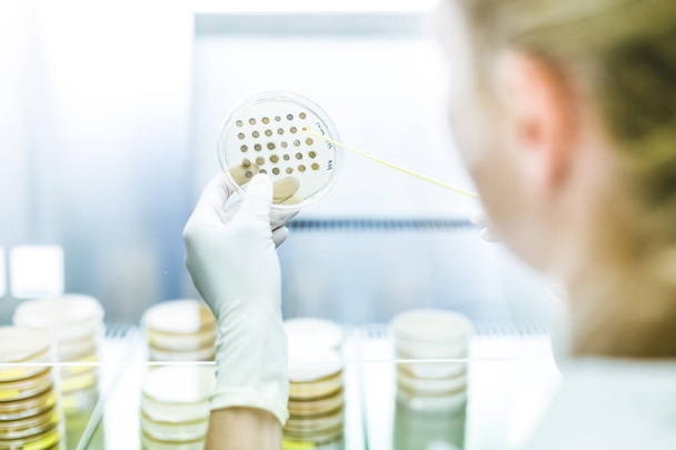 Corona Virüsü Aşı Geliştirme Laboratuvarı 'nda laminar akışı ile çalışan kadın bilim adamı.. - Fotoğraf, Görsel