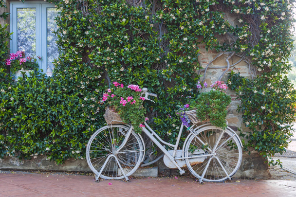 Fahrrad mit fuchsiafarbenen Geranien und bunten Sommerblumen im Garten, angelehnt an eine jasminbewachsene Wand - Foto, Bild