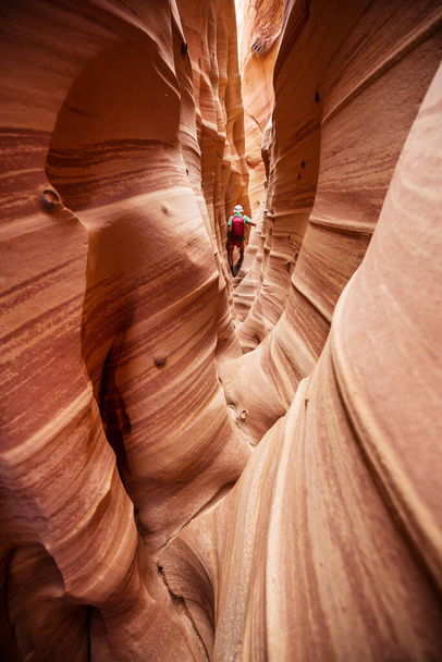 Slot canyon in Grand Staircase Escalante National park, Utah, USA. Unusual colorful sandstone formations in deserts of Utah are popular destination for hikers. - Photo, Image