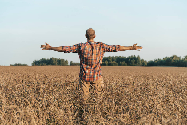 Hombre feliz con los brazos extendidos contra el fondo de un campo de trigo de verano al atardecer. Concepto de inspiración, libertad y alegría. - Foto, imagen