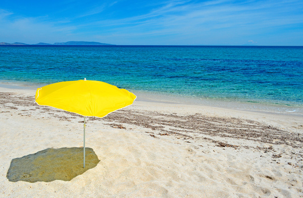 Guarda-chuva amarelo
 - Foto, Imagem