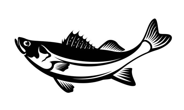 Musta ja valkoinen kuva Barramundin kalavektorin suunnittelusta - Vektori, kuva
