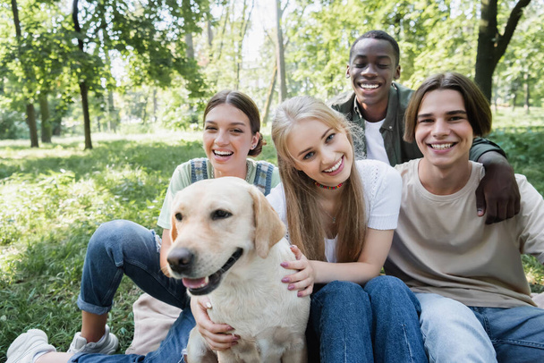 Smiling interracial teenagers looking at camera near blurred retriever in park  - Фото, изображение