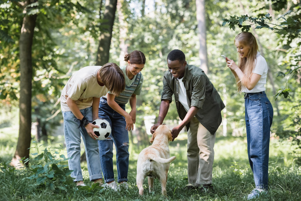 Interracial teenagers with smartphone and football ball petting retriever in park  - Fotografie, Obrázek
