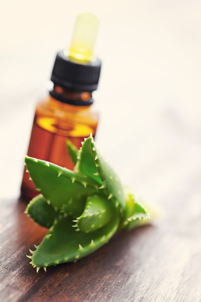 Ätherisches Öl der Aloe vera - Foto, Bild