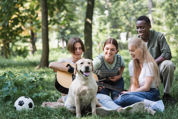 Positive interracial teenagers with acoustic guitar, football ball and retriever on lawn  - Photo, Image