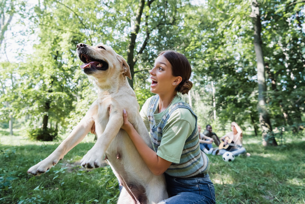 Cheerful teen girl holding retriever near blurred friends in park  - Zdjęcie, obraz