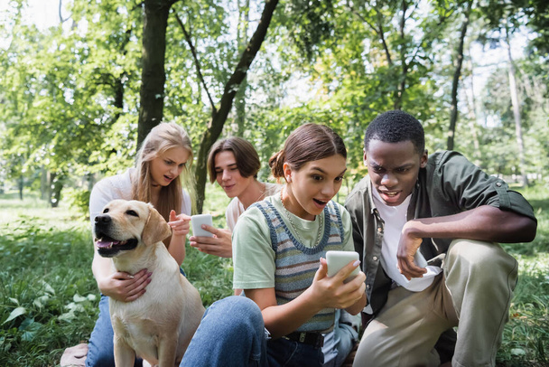 Amazed interracial teenagers using smartphone near retriever in park  - Photo, Image