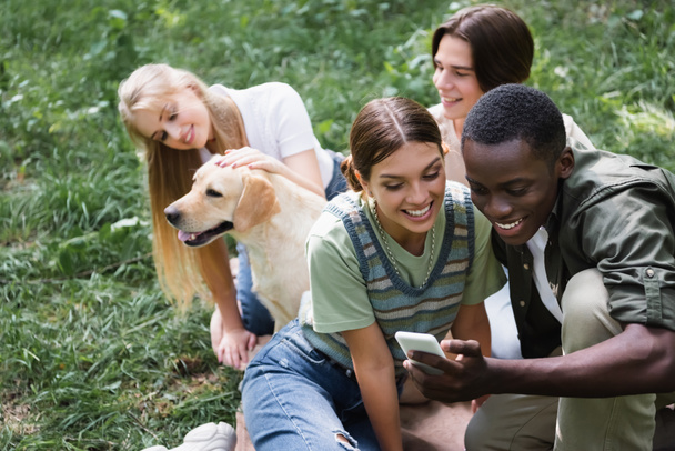 Afrika kökenli Amerikalı genç parkta av köpeğiyle arkadaşlarının yanında akıllı telefon kullanıyor.  - Fotoğraf, Görsel