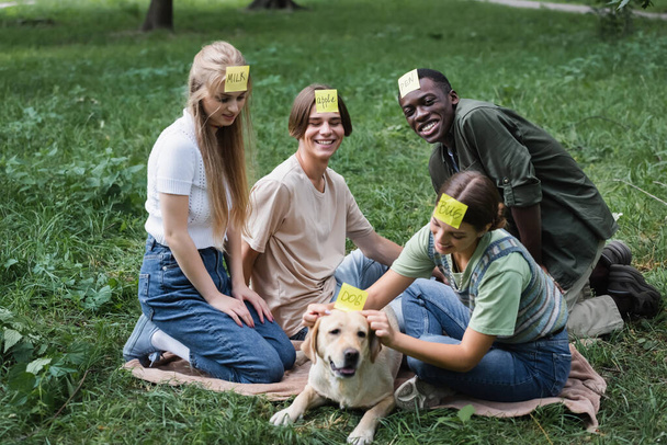 Cheerful multiethnic friends looking at retriever while playing who i am in park  - Photo, Image
