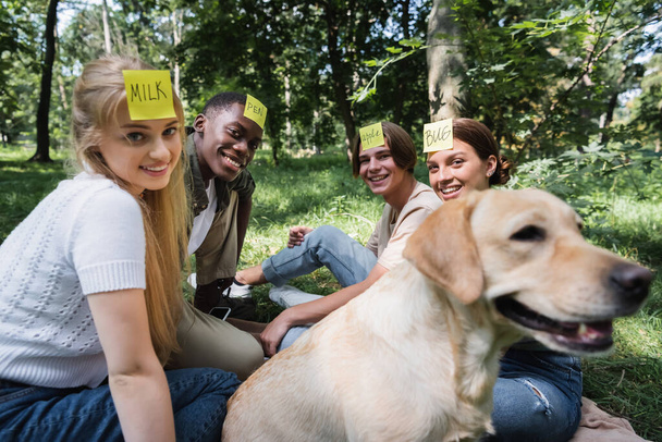 Smiling multiethnic teenagers playing who i am near blurred retriever in park  - Photo, Image