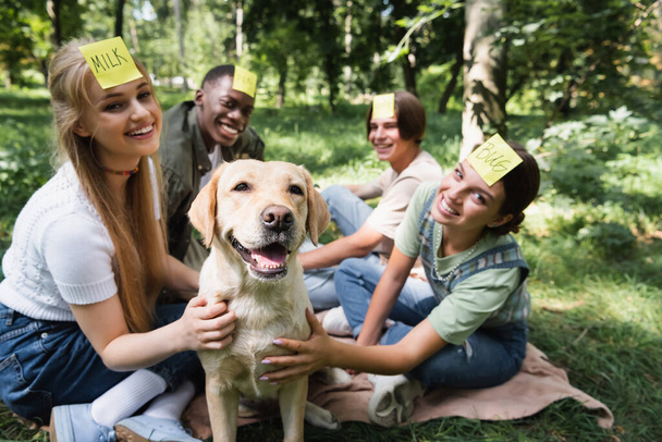 Blurred multiethnic teenagers playing who i am and petting retriever in park  - Photo, Image