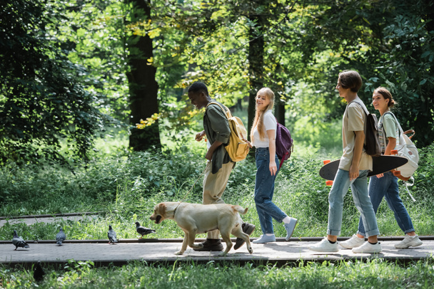 Positive multiethnic teen friends with retriever walking in park  - Photo, image