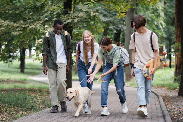 Interracial teenagers with backpacks looking at retriever in park  - Photo, Image