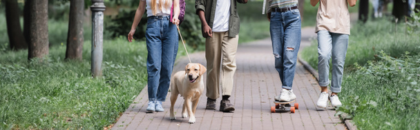 Vista recortada de adolescentes multiétnicos con monopatín y retriever caminando en el parque, pancarta  - Foto, Imagen
