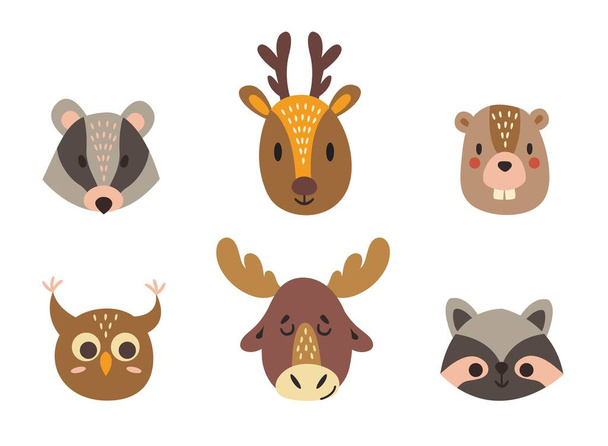 Cute hand drawn heads of forest animals. Raccoon, badger, elk, deer, owl, beaver. White background, insulator. Vector illustration. - Vector, Image