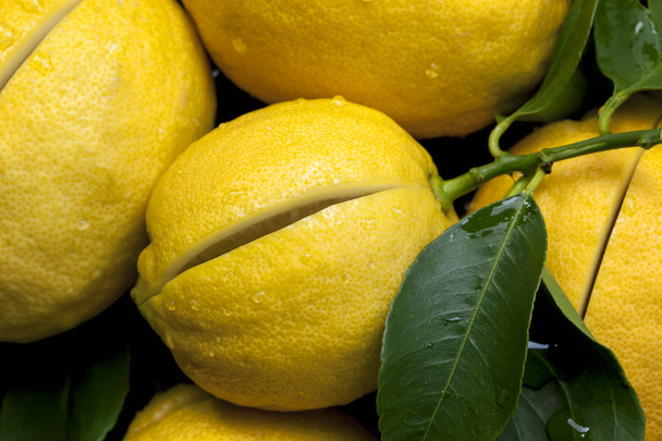Zitronen - Foto, Bild