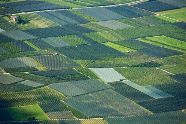 Aerial view of many apple orchards with anti-hail net in summer in Valsugana or Sugana Valley, in the plain between Lake Caldonazzo and Lake Levico, Trento tartomány, Trentino Alto Adige, Olaszország. - Fotó, kép