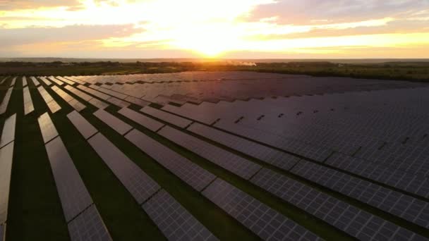 Luchtfoto van een grote duurzame elektriciteitscentrale met rijen zonnepanelen voor het produceren van schone ecologische elektrische energie bij zonsondergang. Hernieuwbare elektriciteit zonder uitstoot. - Video