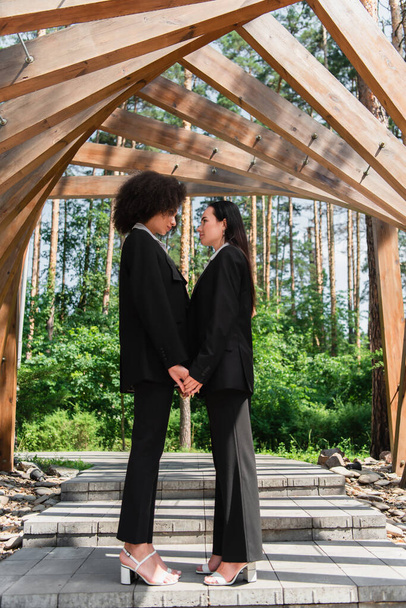 Вид сбоку на многонациональную лесбийскую пару в костюмах, держащихся за руки под аркой  - Фото, изображение