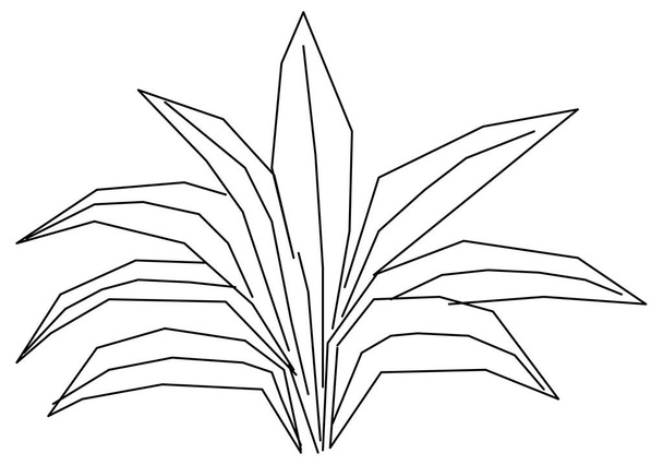 Desenho de desenho vetorial de uma flor com folhas triangulares - Vetor, Imagem