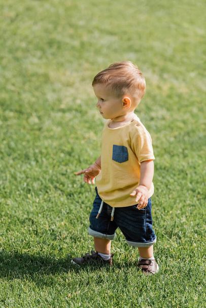 pełna długość małego chłopca stojącego na zielonej trawie - Zdjęcie, obraz