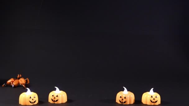 Halloween cat goes for orange candy on a black background. Gray kitten preparing for holiday - Footage, Video