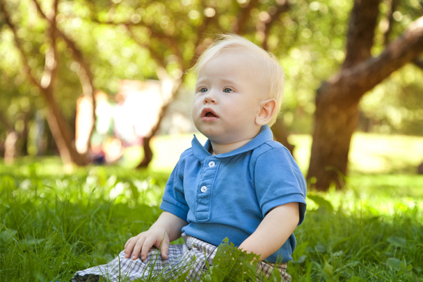 funny little boy sitting on the grass in the park - Photo, Image