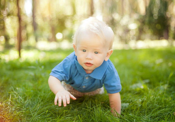 funny little boy crawling on the grass in the park - Photo, Image