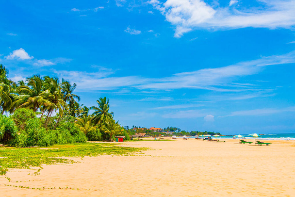 Beautiful sunny landscape panorama from Bentota Beach on Sri Lanka island. - Photo, Image