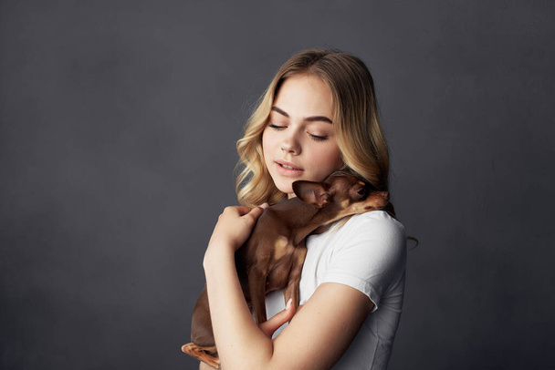 woman a small dog fun Studio isolated background - 写真・画像