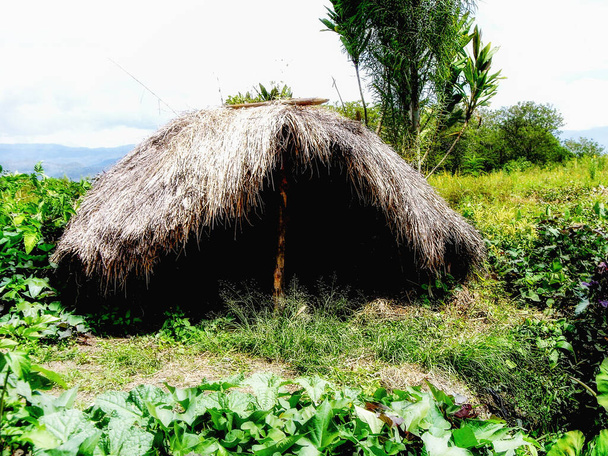 Rifugio in cima all'erba dei nativi Dani. Wamena, Papua, Indonesia - Foto, immagini