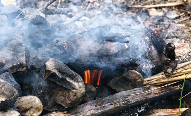 Фестиваль поросят племени Дани. Покойная свинья для приготовления пищи в земле с горячими камнями. Новая Гвинея - Фото, изображение