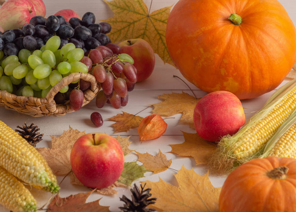 Ağaçtan bir arka planda üzüm, balkabağı, mısır ve elmalarla dolu bir sonbahar, seçici bir odak noktası. - Fotoğraf, Görsel