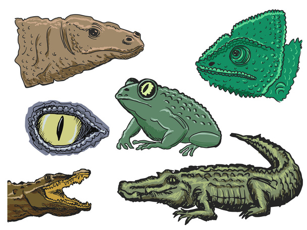 Reptiles - Vecteur, image