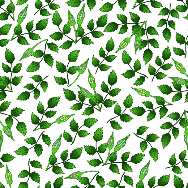 Botanical illustration: green branches with leaves, buds on a white background. Seamless pattern with leaves and flowers. For kitchen textiles,backgrounds, and packaging products. - Vector, Image