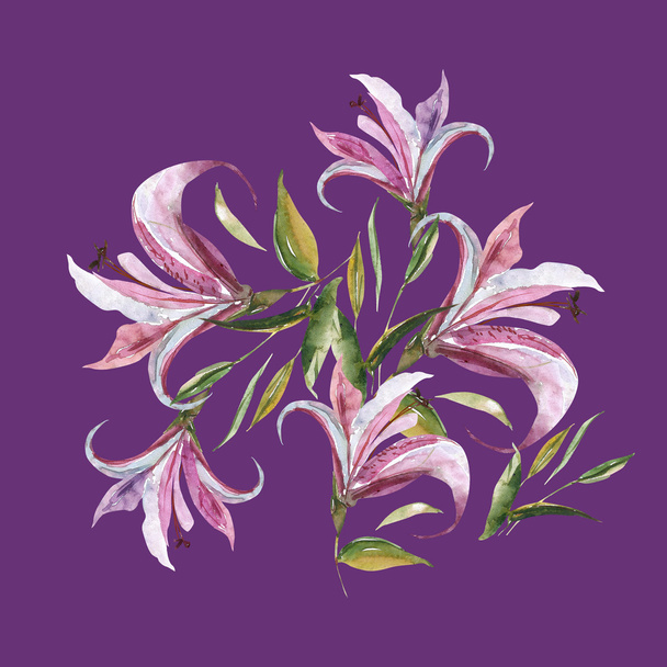 Pink lily pattern - Photo, Image