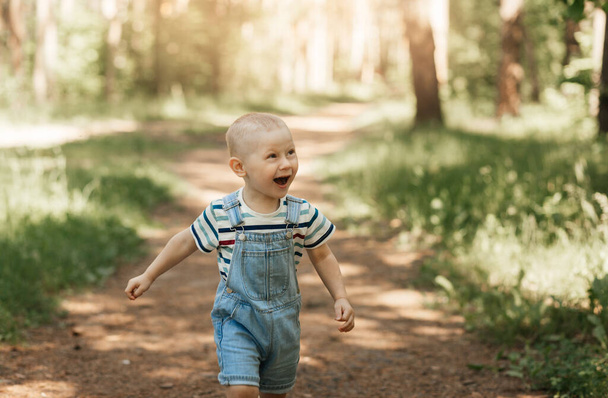 Ein kleiner Junge spaziert im Sommer auf dem hohen Gras im Park. - Foto, Bild