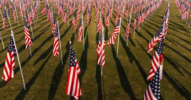 Campo de banderas americanas ondeando con colores vibrantes - Foto, Imagen