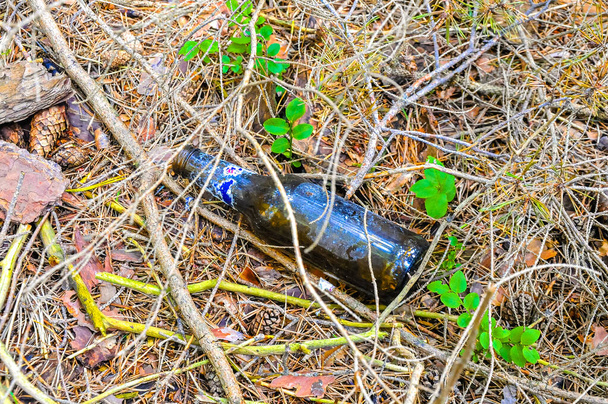 A closeup shot of a filled beer bottle laying on a field amount little sticks - 写真・画像