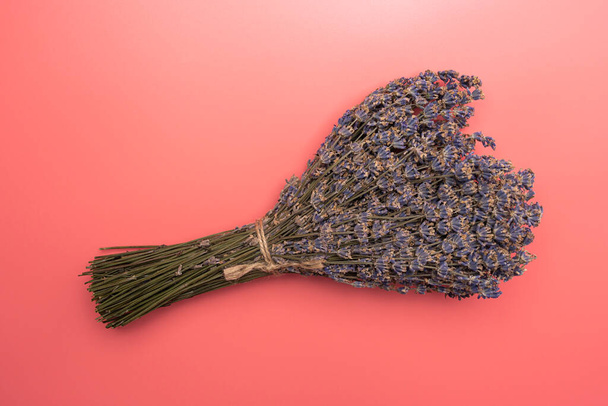 a bouquet of lavender flowers on a pink background - Photo, image
