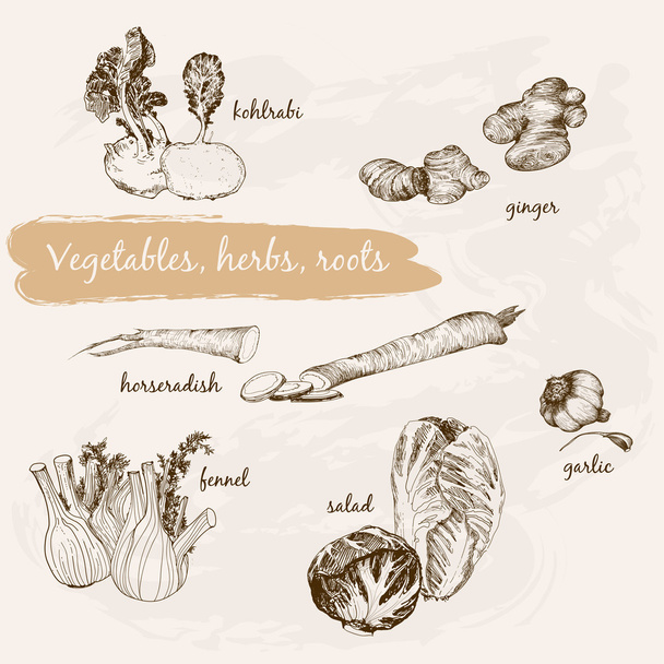Légumes, herbes et racines
 - Vecteur, image