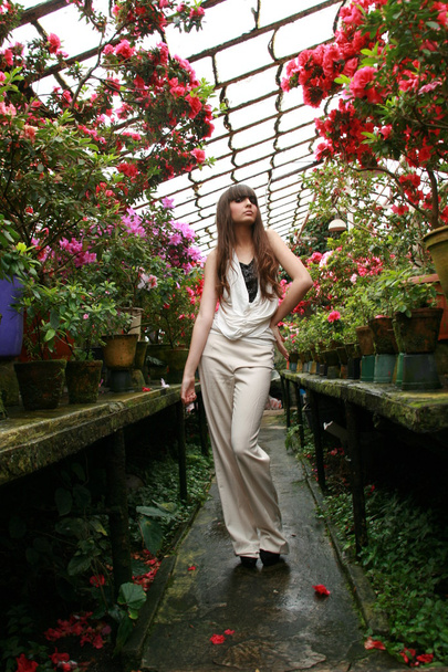brunette vrouw in azalea tuin - Foto, afbeelding